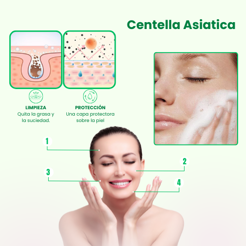 Kit Facial Centella